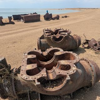 An ink drawing of a barren tree with monkeys in its branches